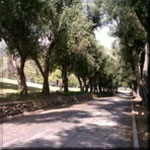 Veterans Memorial Park, Sylmar, CA